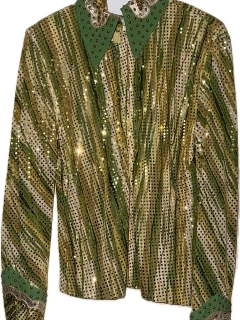 Silver Mesa Zip Up Western Show Shirt Size M